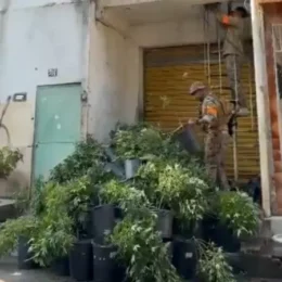 Polícia faz operação no Rio; escolas na Maré são fechadas após tiroteio