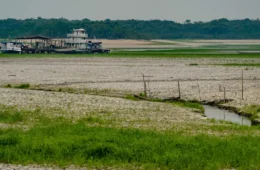Chegada do El Niño é oficialmente confirmada