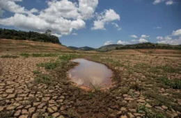 O que é o El Niño? Quais podem ser seus efeitos no Brasil? Tire suas dúvidas