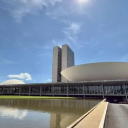 Quem manda no seu bolso? O poder de deputados e senadores na economia