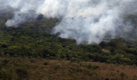 Copernicus: emissão global de gases por incêndios é a menor em 24 anos