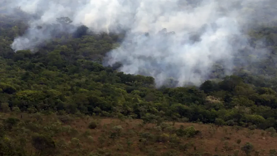 Copernicus: emissão global de gases por incêndios é a menor em 24 anos