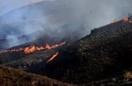Incêndios florestais desafiam França e Espanha; Europa contabiliza estragos com onda de calor