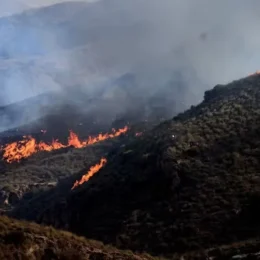 Incêndios florestais desafiam França e Espanha; Europa contabiliza estragos com onda de calor