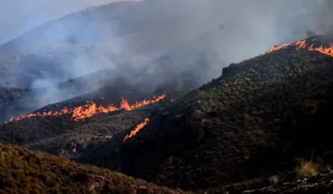 Incêndios florestais desafiam França e Espanha; Europa contabiliza estragos com onda de calor