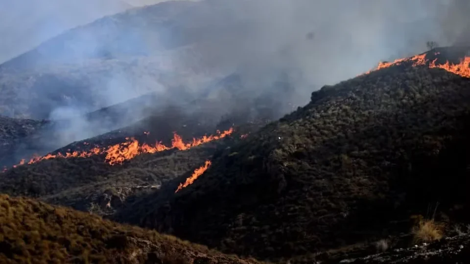 Incêndios florestais desafiam França e Espanha; Europa contabiliza estragos com onda de calor