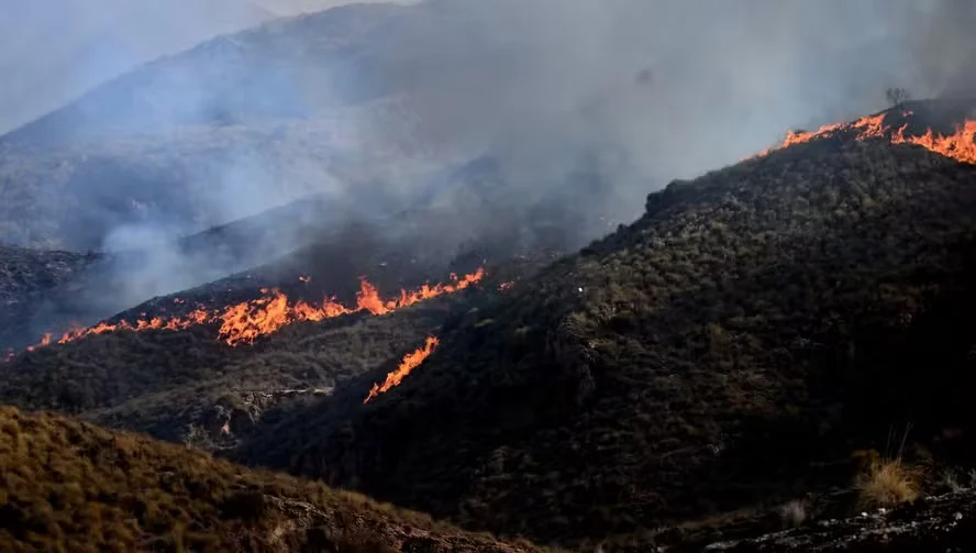 Incêndios florestais desafiam França e Espanha; Europa contabiliza estragos com onda de calor
