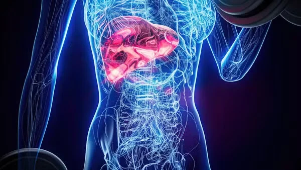 Veja os sete melhores alimentos para cuidar do fígado e prevenir doenças