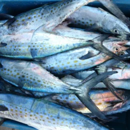 Peixe pouco consumido reúne proteínas e nutrientes que ajudam a controlar o colesterol