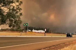 Enquanto queimadas caem no Brasil, São Paulo registra alta