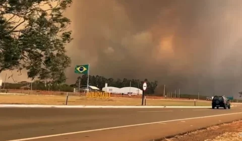 Enquanto queimadas caem no Brasil, São Paulo registra alta