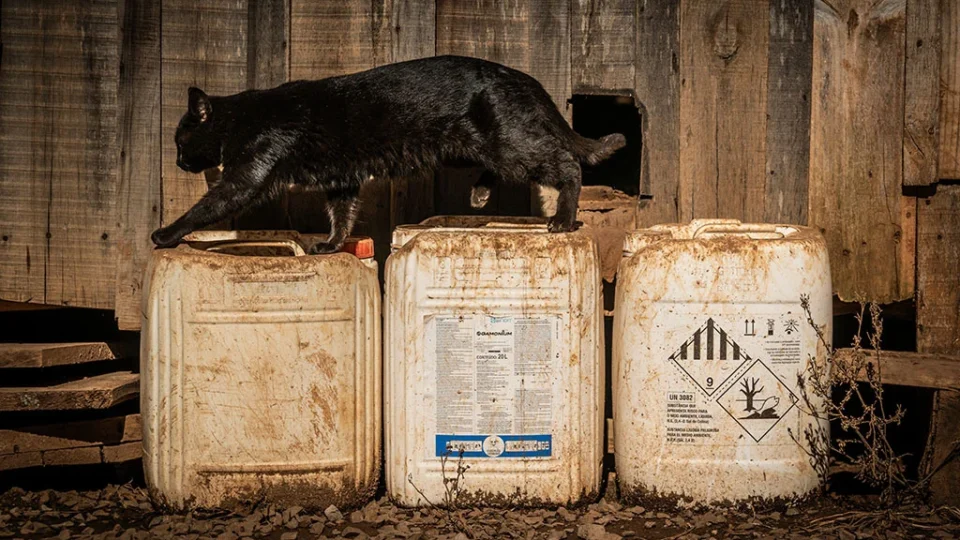 Intoxicações por agrotóxico banido na Europa crescem 1.100% em 8 anos no Brasil