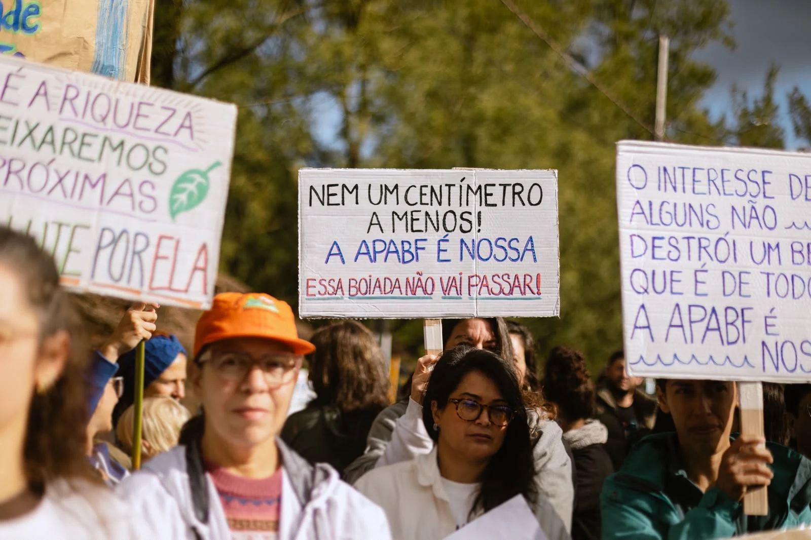 Baleia franca