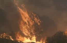Calor e seca fazem incêndios florestais avançarem na Europa