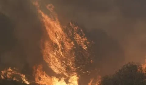 Calor e seca fazem incêndios florestais avançarem na Europa