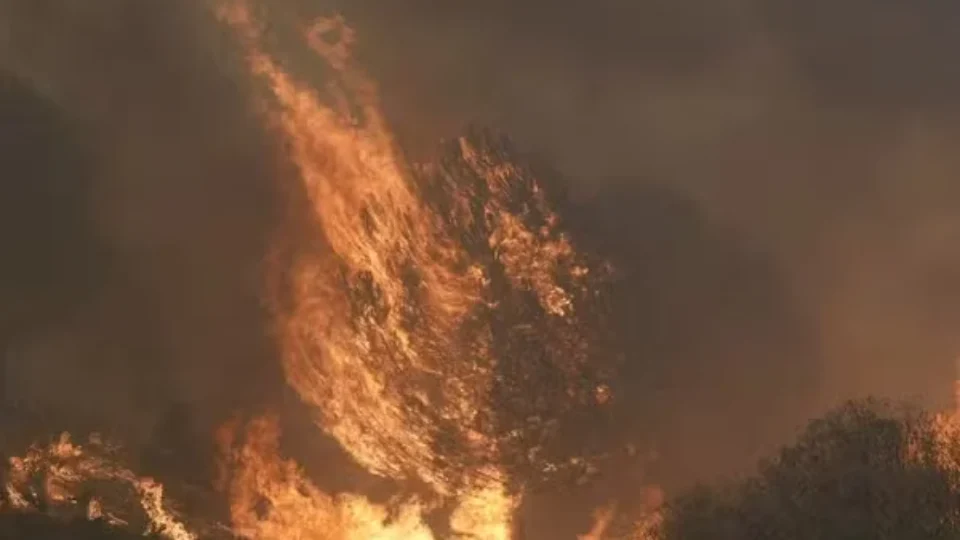 Calor e seca fazem incêndios florestais avançarem na Europa