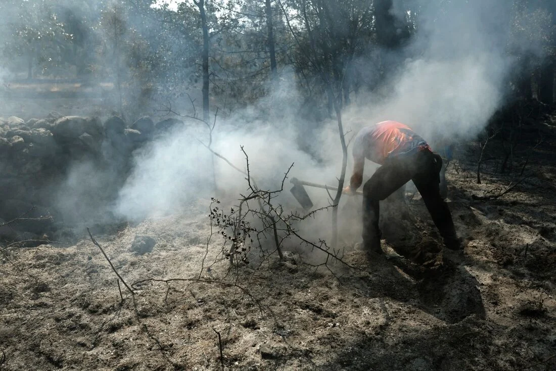 Bombeiros avançam na luta contra incêndios florestais na Espanha - Foto: Oscar del Pozo / AFP