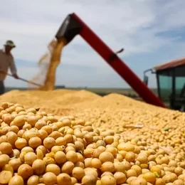 Brasil se aproxima dos EUA e pode liderar exportações agrícolas, diz jornal britânico