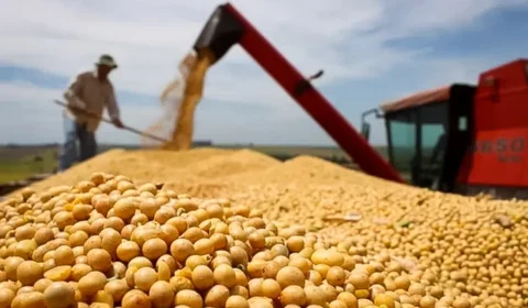 Brasil se aproxima dos EUA e pode liderar exportações agrícolas, diz jornal britânico