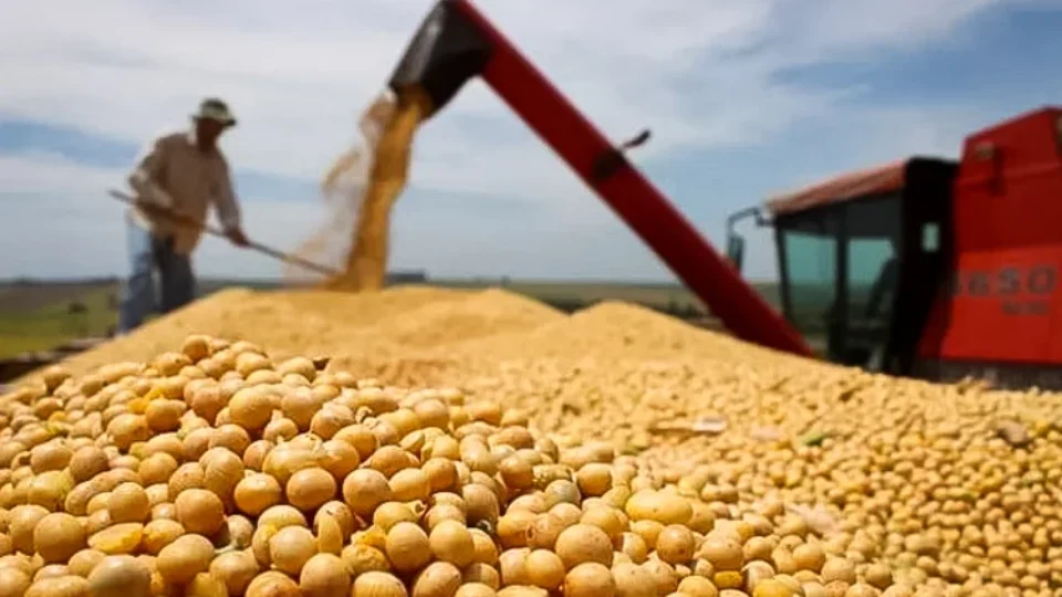 Brasil se aproxima dos EUA e pode liderar exportações agrícolas, diz jornal britânico