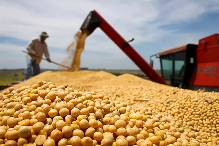 Agro segue firme e ajuda PIB a resistir à sobretaxação norte-americanas Foto: Agência Brasil