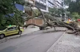 Ventania deve continuar nesta quinta (30) em São Paulo e no Rio, mas em menor intensidade