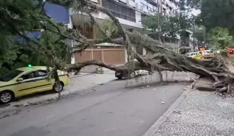 Ventania deve continuar nesta quinta (30) em São Paulo e no Rio, mas em menor intensidade