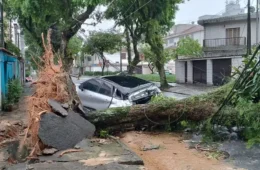 Rajadas de ventos de até 125 km/h deixam 3 mortos em SP e 2 no Rio