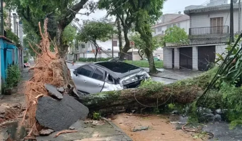 Rajadas de ventos de até 125 km/h deixam 3 mortos em SP e 2 no Rio