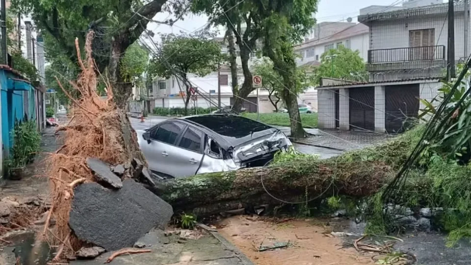 Vendaval mata homem, fecha Porto de Santos e causa estragos no litoral de SP