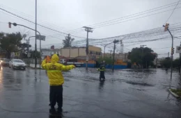 Tempestade e granizo causam prejuízo a 43 municípios no RS; governo decreta emergência