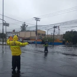 Tempestade e granizo causam prejuízo a 43 municípios no RS; governo decreta emergência
