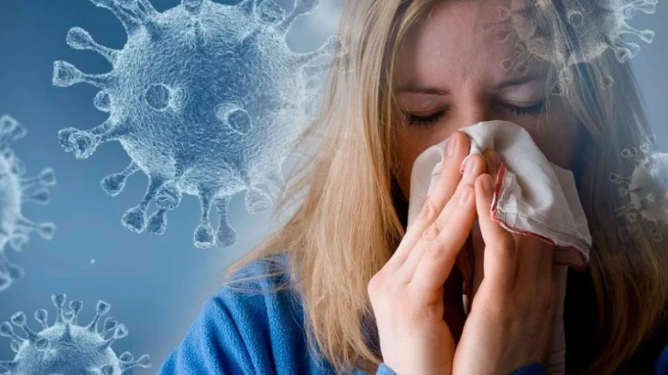 Fruta ajuda a aliviar os sintomas da gripe e limpar os pulmões; saiba qual