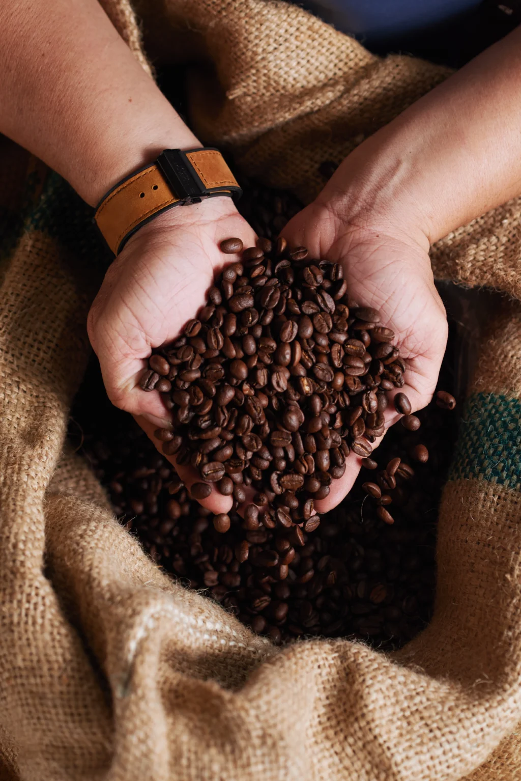 Exportações de café do Brasil crescem mais de 50% no início de setembro