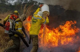 Área queimada no Brasil cai 58% em 2025, um ano após incêndios históricos