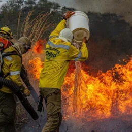 Área queimada no Brasil cai 58% em 2025, um ano após incêndios históricos