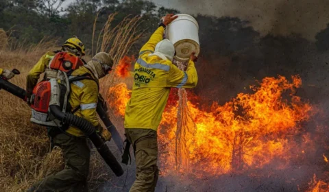 Área queimada no Brasil cai 58% em 2025, um ano após incêndios históricos
