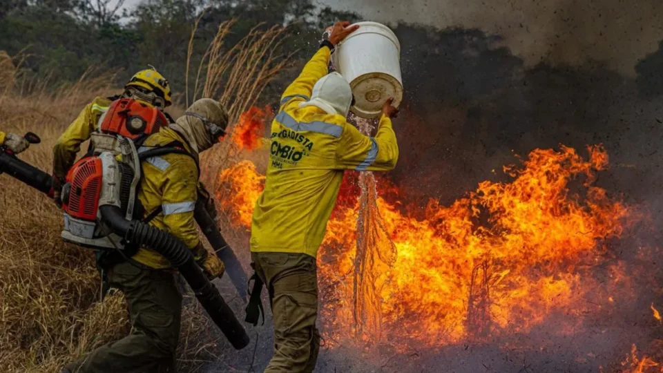 Área queimada no Brasil cai 58% em 2025, um ano após incêndios históricos