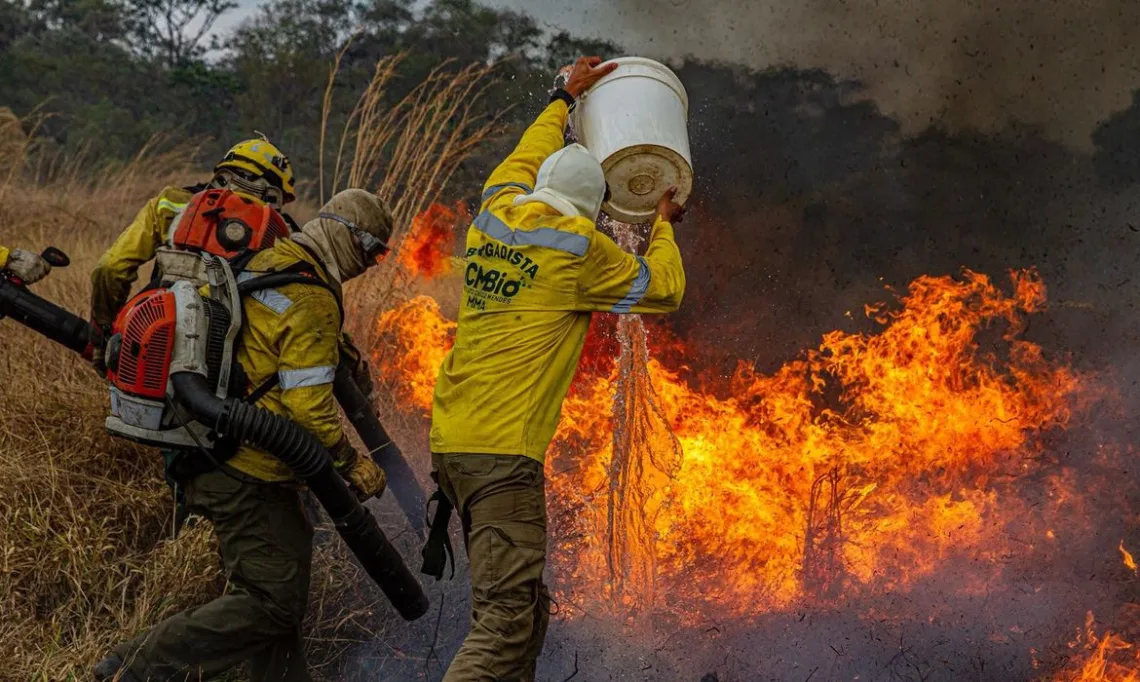Área queimada no Brasil cai 58% em 2025, um ano após incêndios históricos