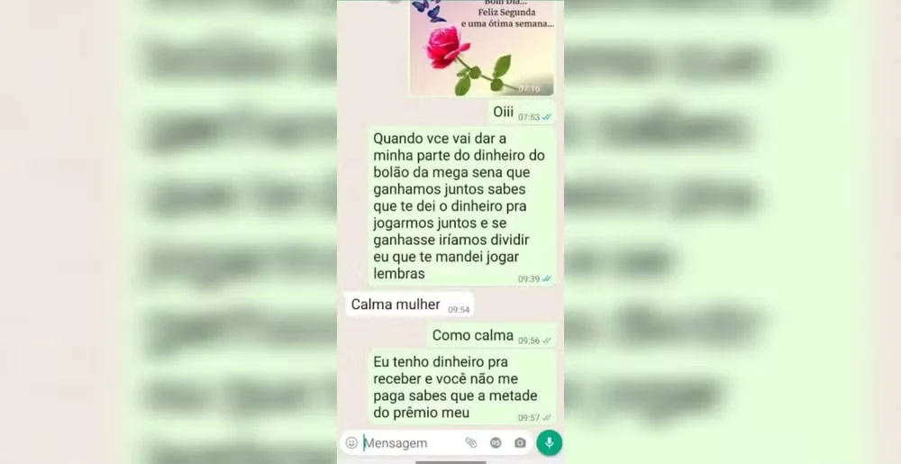 Conversa de aplicativo de mensagens usada como prova de processo de divisão de prêmio da Mega-Sena em Blumenau, SC — Foto: Reprodução