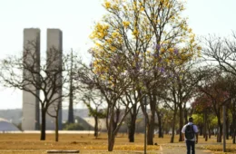 Norte concentra chuvas e tempo seco predomina no interior do país
