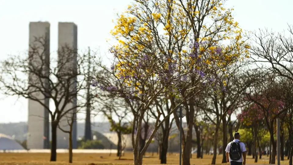 Norte concentra chuvas e tempo seco predomina no interior do país