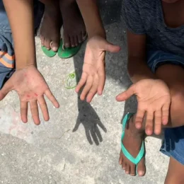Somente três estados brasileiros têm plano vigente contra o trabalho infantil