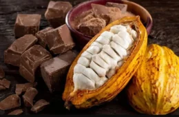 Agricultores familiares denunciam nova modalidade de chocolate artificial
