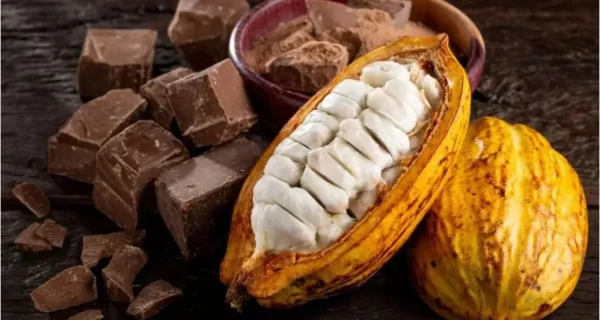 Agricultores familiares denunciam nova modalidade de chocolate artificial