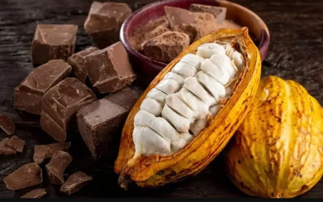 Agricultores familiares denunciam nova modalidade de chocolate artificial