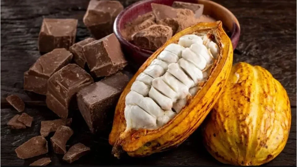 Agricultores familiares denunciam nova modalidade de chocolate artificial
