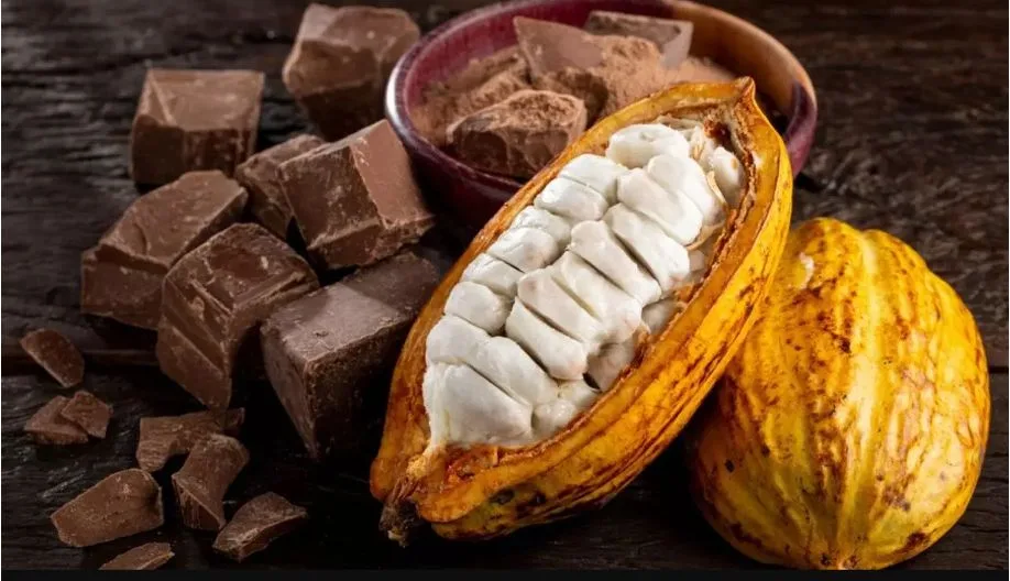 Agricultores familiares denunciam nova modalidade de chocolate artificial