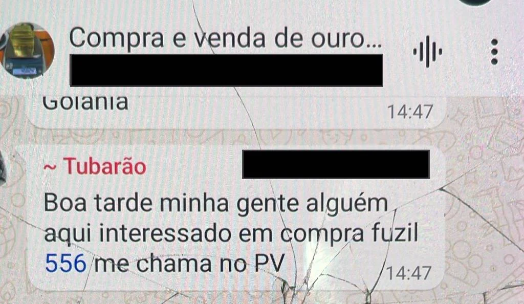 Conversa em um grupo de garimpo obtido pelo trabalho de inteligência - Divulgação
