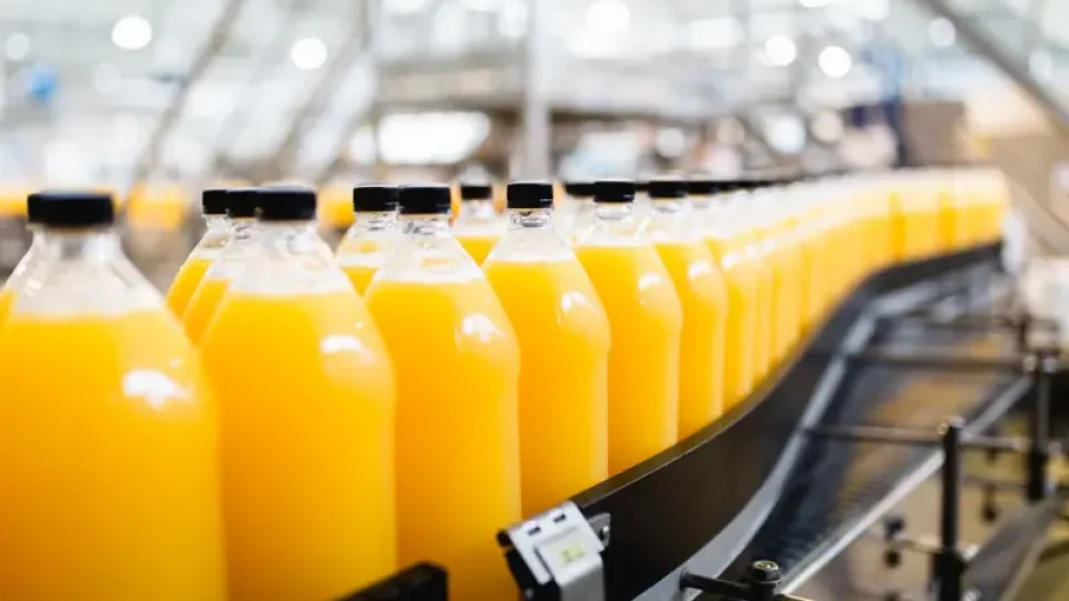 Estudo aponta bebida que pode ajudar a reduzir depressão se consumida diariamente